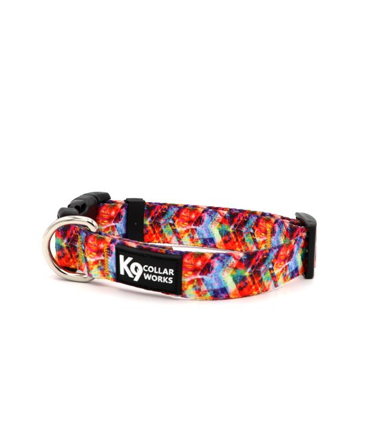 1" Dog Collar - Electric Chevron