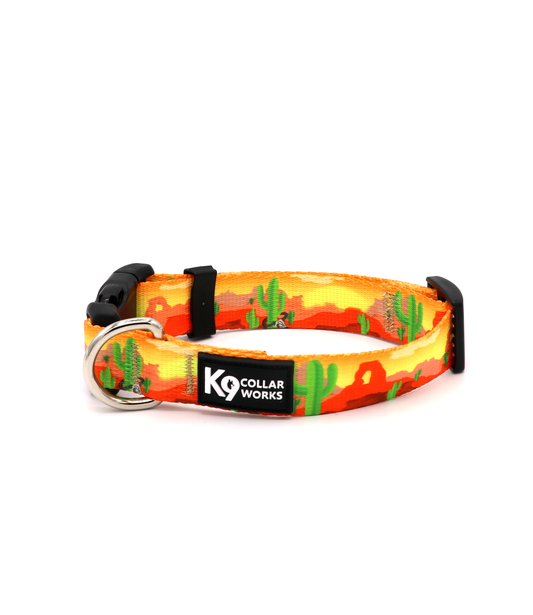 1" Dog Collar - Desert Cactus
