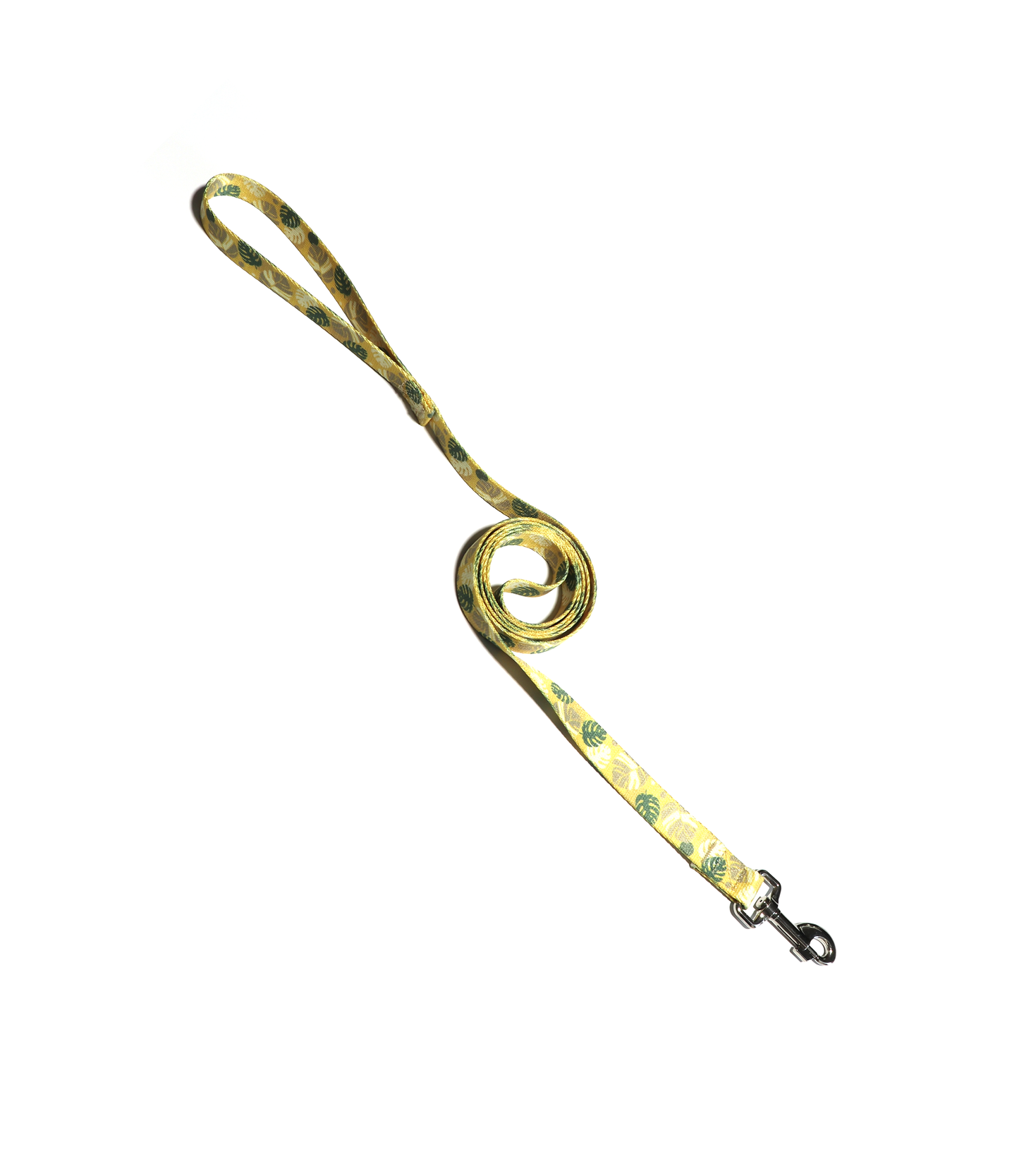 1" Dog Leash - Monstera