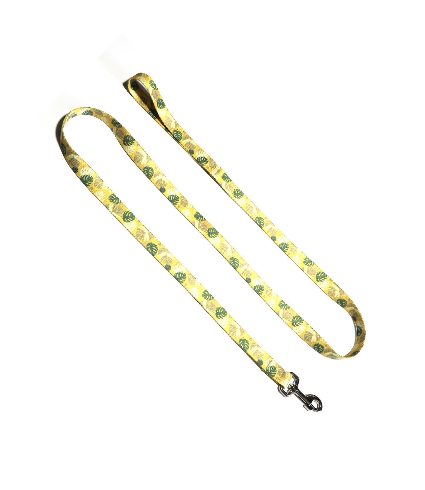 1" Dog Leash - Monstera