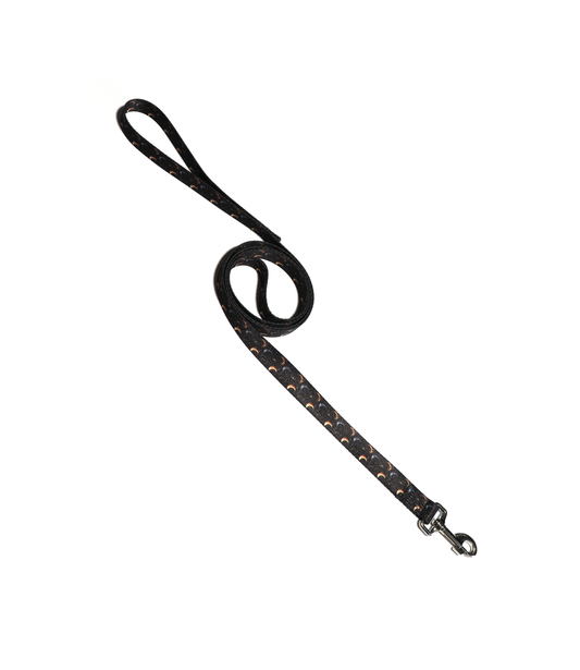 1" Dog Leash - Moons