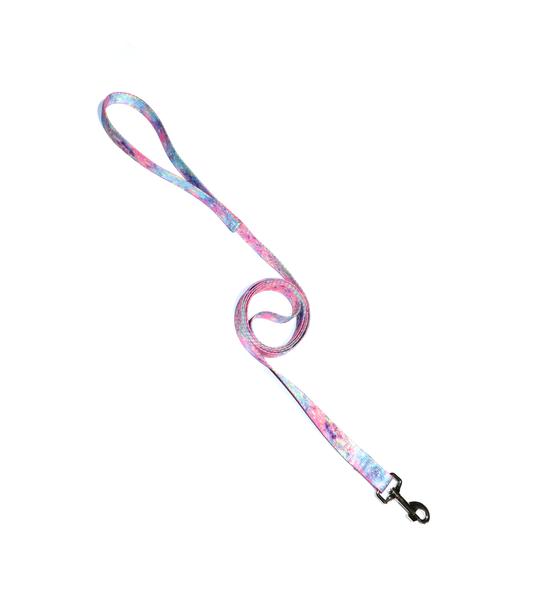 1" Dog Leash - Paint Splatter