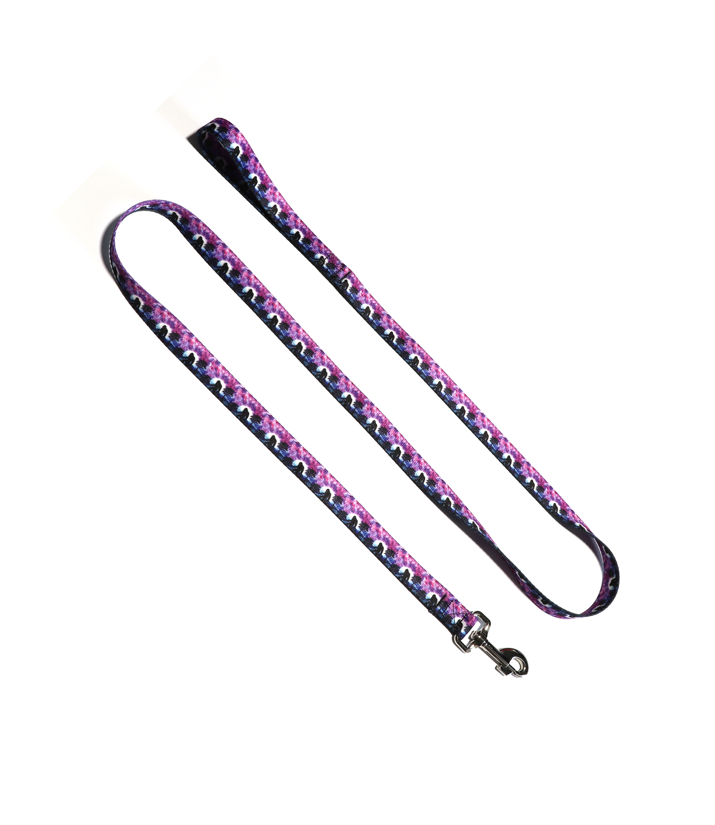 1" Dog Leash - Yeti