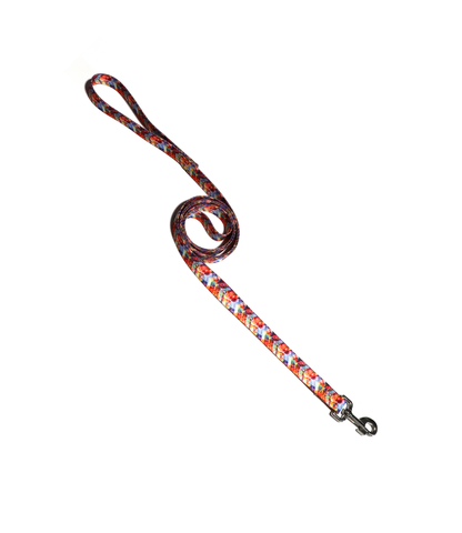 1" Dog Leash - Electric Chevron