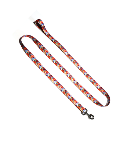 1" Dog Leash - Electric Chevron