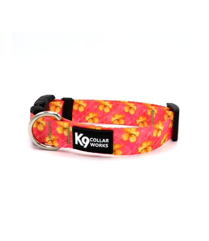 1" Dog Collar - Hibiscus