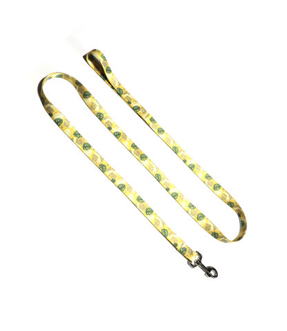 1" Dog Leash - Monstera