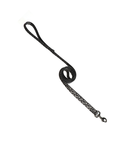 1" Dog Leash - Skulls
